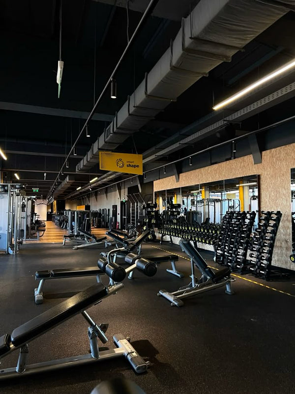 Fitness Facilities & Gyms
