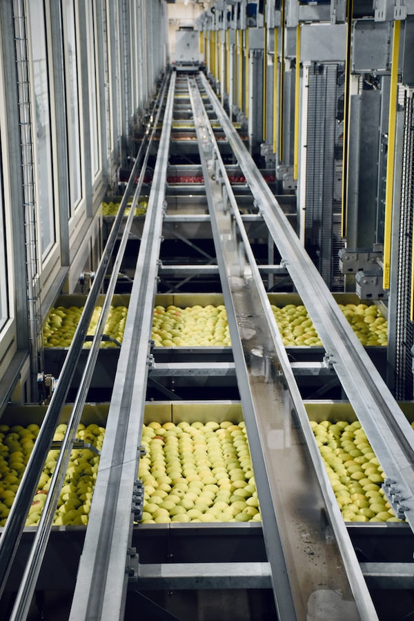 Food Processing & Storage