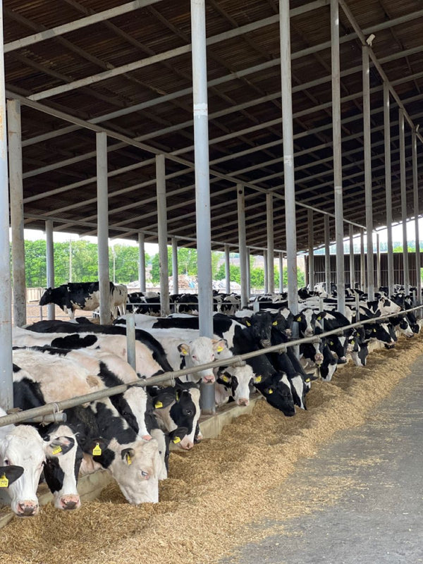 Agriculture & Livestock Facilities