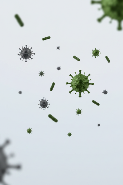 AIRBORNE MOLD SPORES