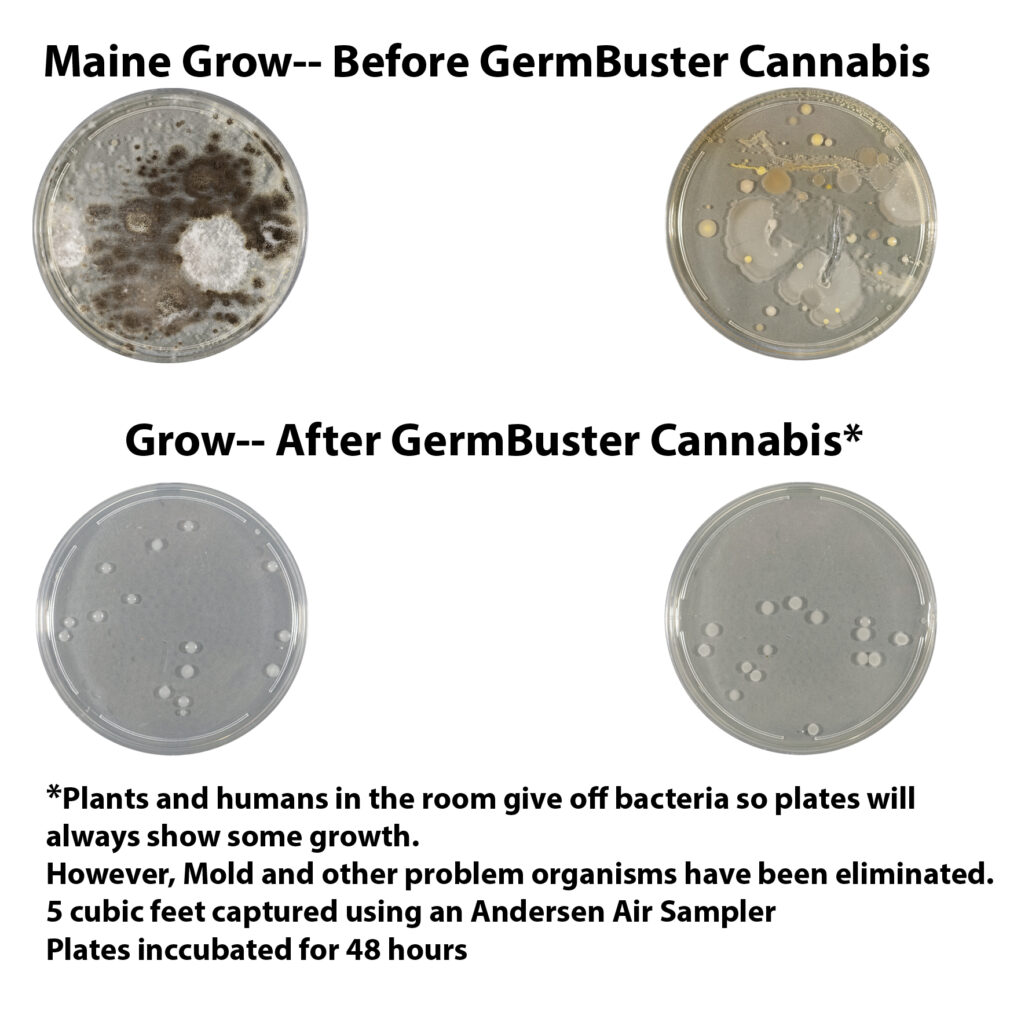 GermBuster Cannabis Before After air samples picture